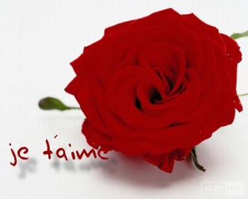 je t'aime